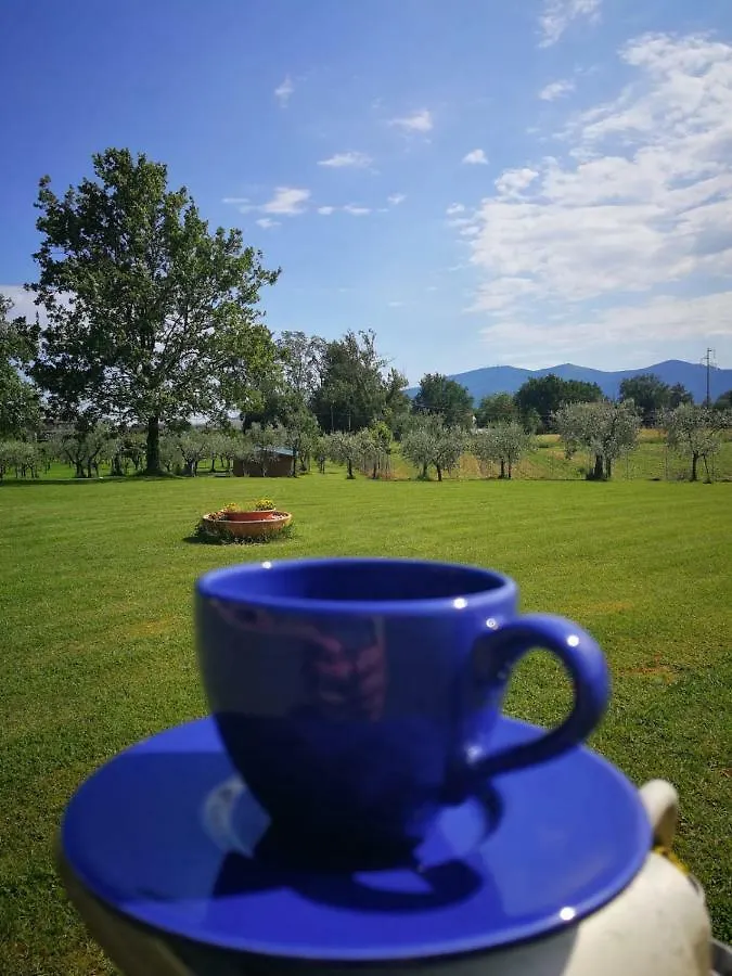 B&B La Fornace Del Sole Capannori